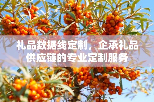 礼品数据线定制，企承礼品供应链的专业定制服务