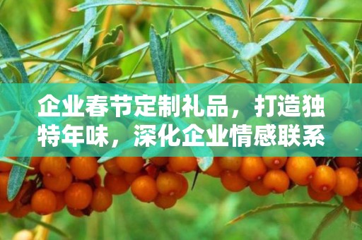 企业春节定制礼品，打造独特年味，深化企业情感联系